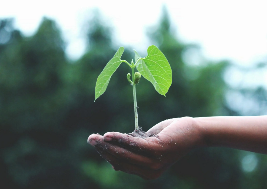 World Environment Day: STEM Projects Promoting Sustainability